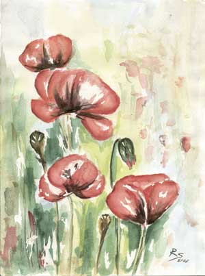 Aquarell Mohnblumen