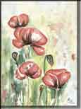Aquarell Mohnblumen