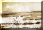 Moorlandschaft